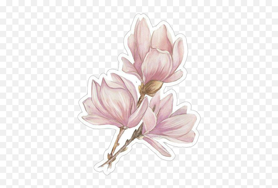 Taytumandoakely Taytum 329166600022201 By Oceanbreezer Emoji,Magnolia Emojis