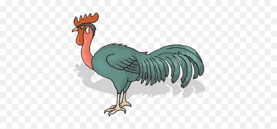 80 Free Cock U0026 Rooster Vectors Emoji,Outlook Turkey Emoji