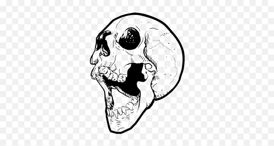 Transparent Skull Psd Psd Psd Free Download Emoji,Realistic Skull Emoji Png