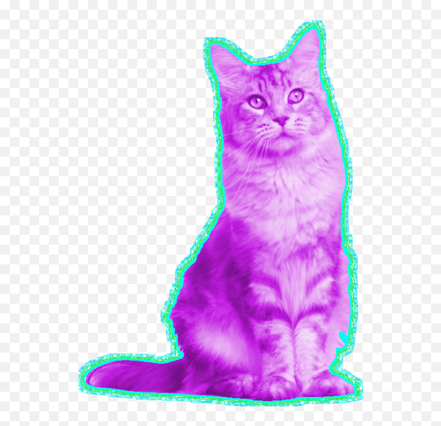 Top Cats Blog Stickers For Android U0026 Ios Gfycat - Sitting Cat Transparent Gif Emoji,Cheshire Cat Emoticon
