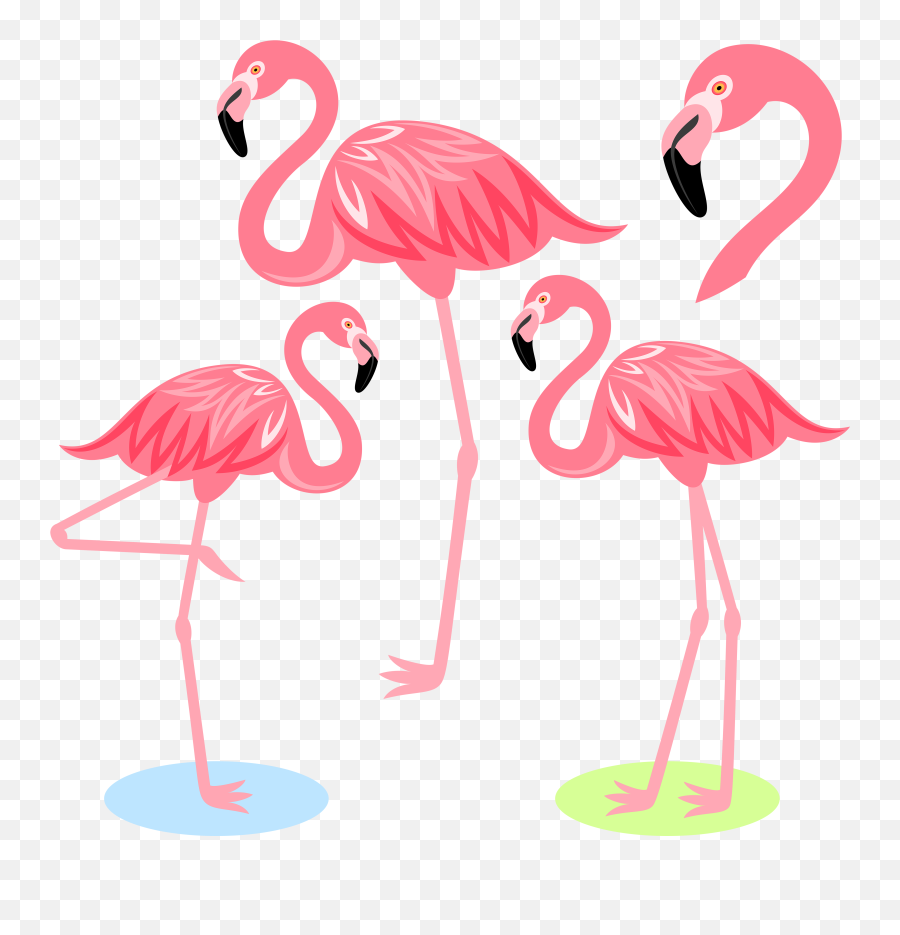 Download Flamingo Bird Illustration Cartoon Free Frame - Flamingo Cartoon Emoji,Emoticon For Flipping The Bird