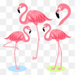 Download Flamingo Bird Illustration Cartoon Free Frame - Flamingo Cartoon Emoji,Emoticon For Flipping The Bird