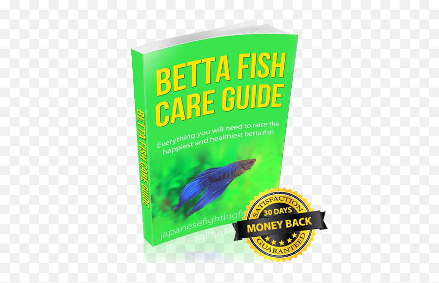 180 Betta Fish Care Ideas In 2021 - Horizontal Emoji,Saltwater Emotions