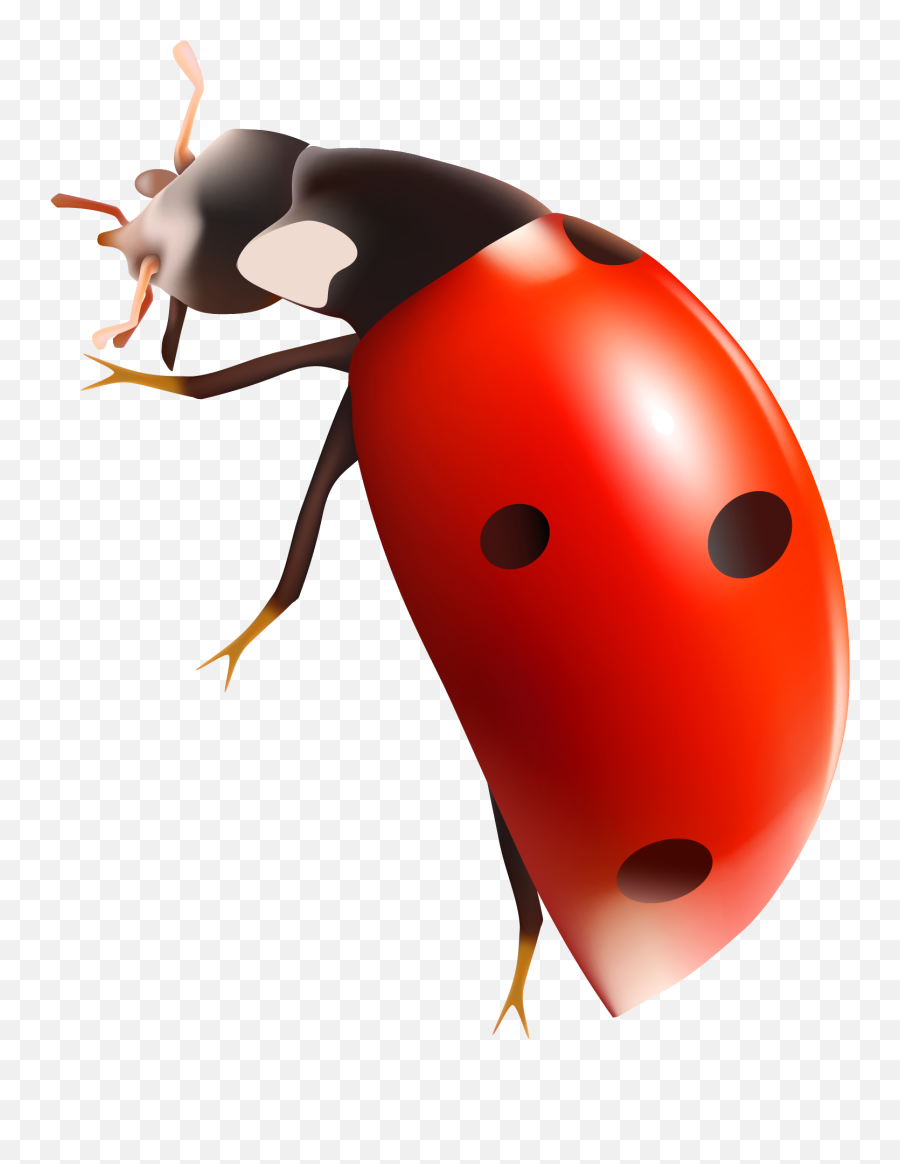 Ladybug Png Clipart Hq Png Image Emoji,What Is The Termite, Ladybug Emoticon