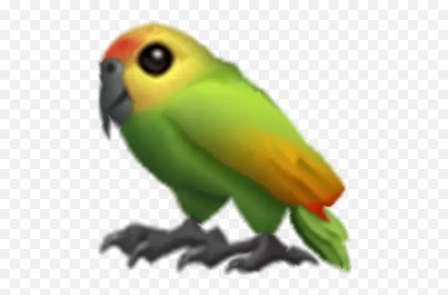Sticker Maker - Fucked Up Emoji 4 Parrots,:parrot: Emoticon