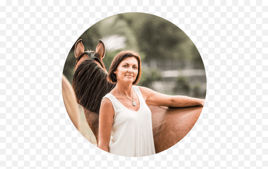 Top 5 Horse Training Tips Before Riding Eden River Emoji,Equine Emotions