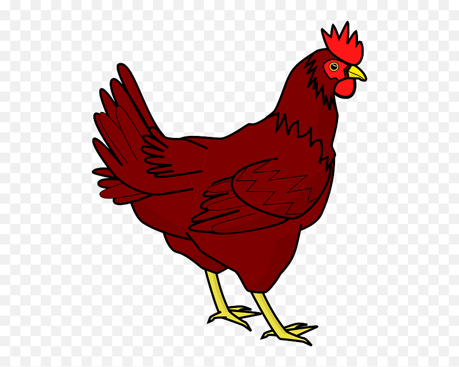 Chicken Png Transparent Image - Hen Clip Art Emoji,Rooster + Chicken Leg Emoji