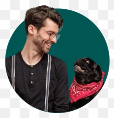 Emotional Support Animal Letter - Collar Emoji,Animals Emotions