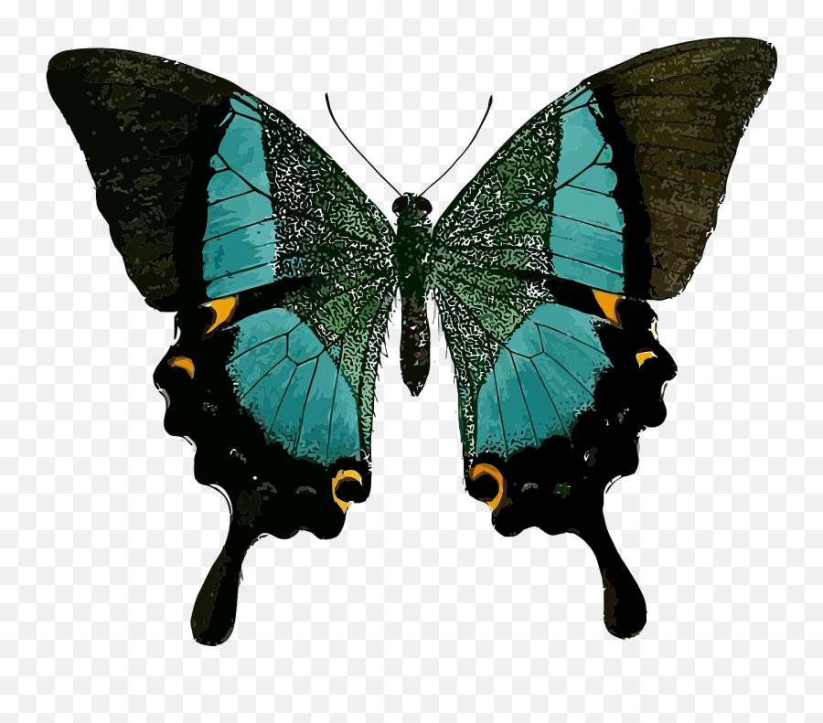 Butterfly Clip Art Butterfly - Line Of Symmetry Real Life Emoji,Emotion Butterflies