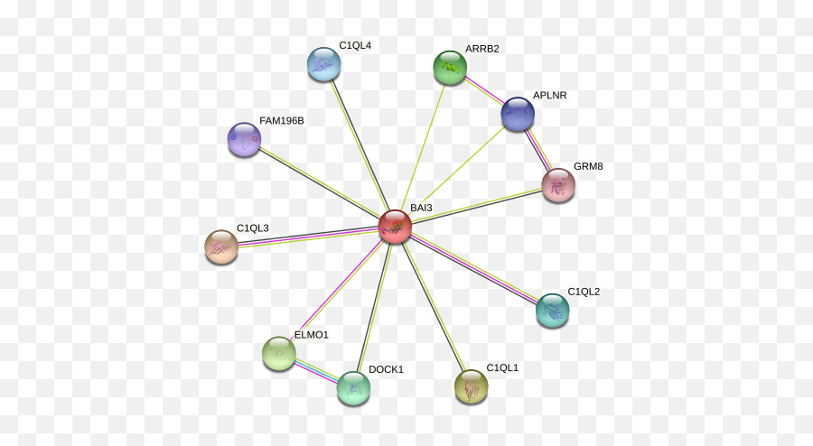 Bai3 Protein Human - String Interaction Network Emoji,Agt Secrete Emotion