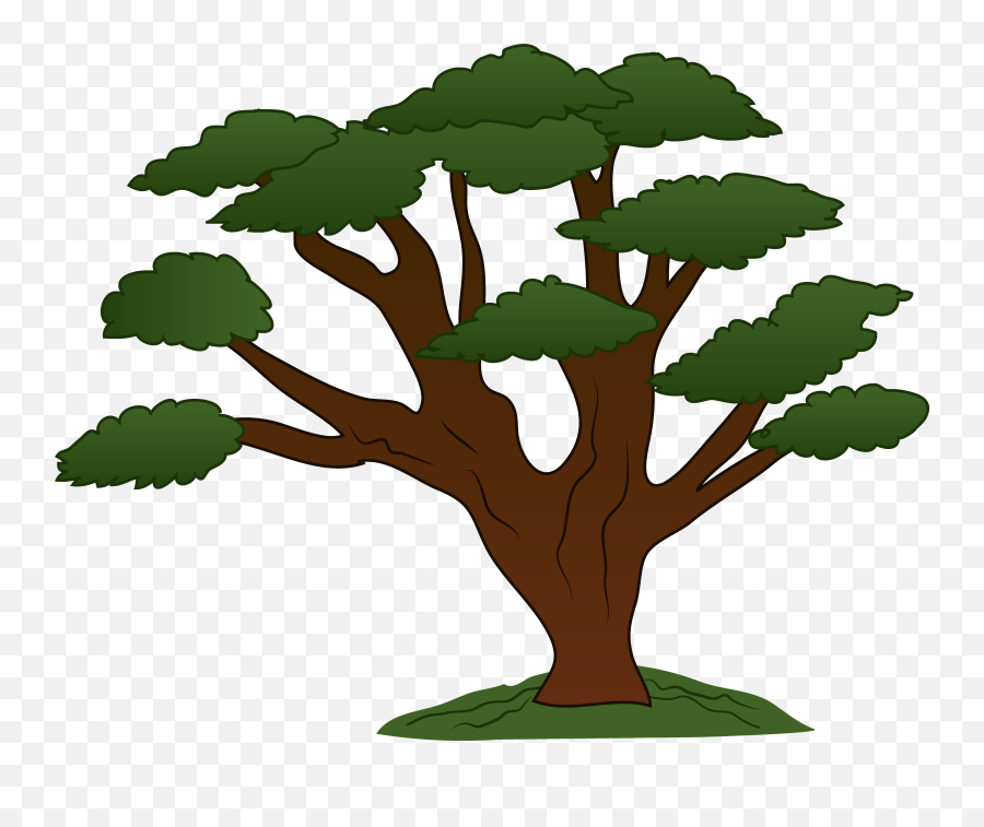 Trees Family Tree Clipart Free Clipart Images Cliparting - Tree Clipart Emoji,Emoji Family Tree