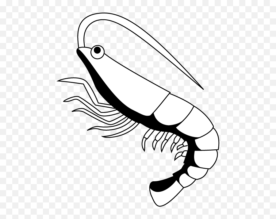 Shrimp Clip Art Related Keywords - Clipartix Shrimp Clip Art Black And White Emoji,Shrimp Emoji
