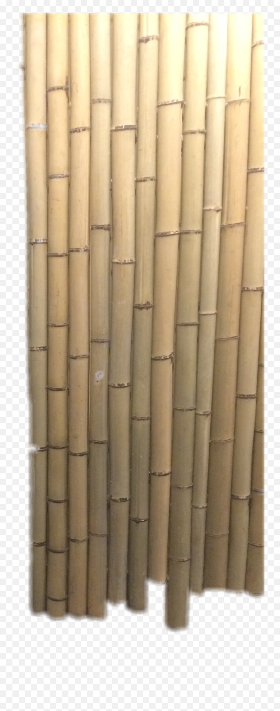 Bamboo Art Picsart Sticker - Bamboo Emoji,Bamboo Emoji