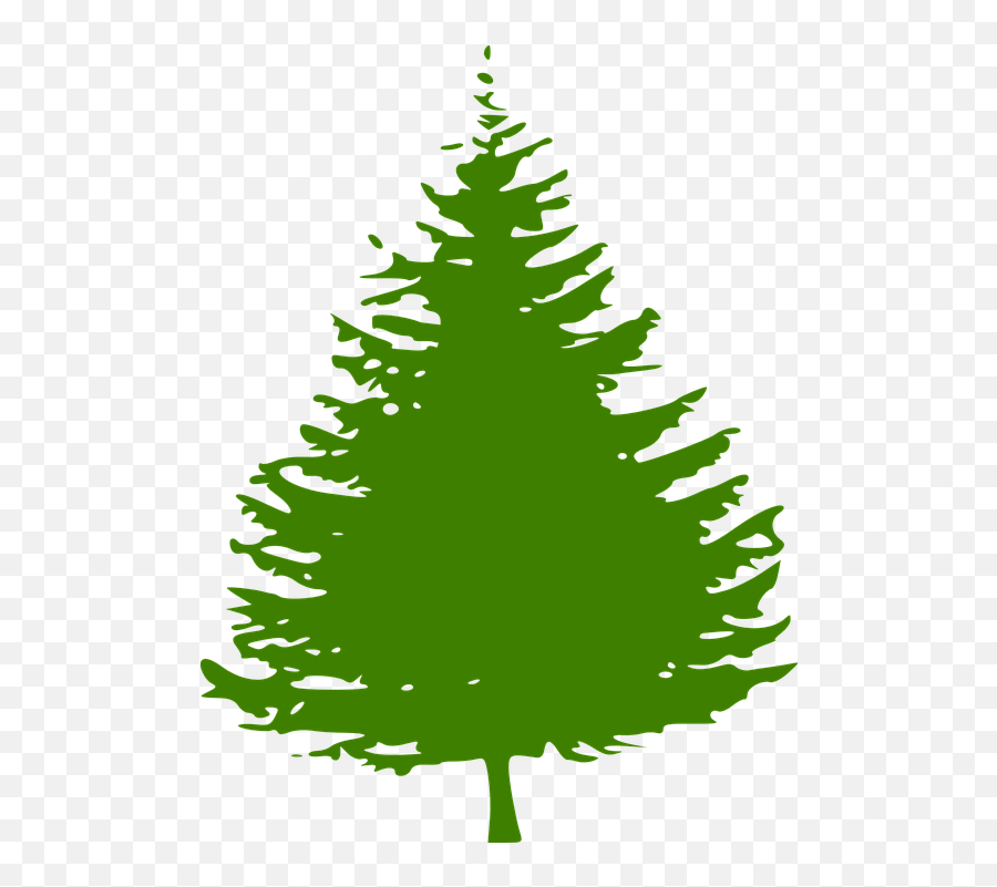 Evergreen Tree Stencil - Pine Tree Silhouette Full Size Clipart Black Pine Tree Emoji,Pino Emoji Vector