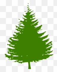 Evergreen Tree Stencil - Pine Tree Silhouette Full Size Clipart Black Pine Tree Emoji,Pino Emoji Vector