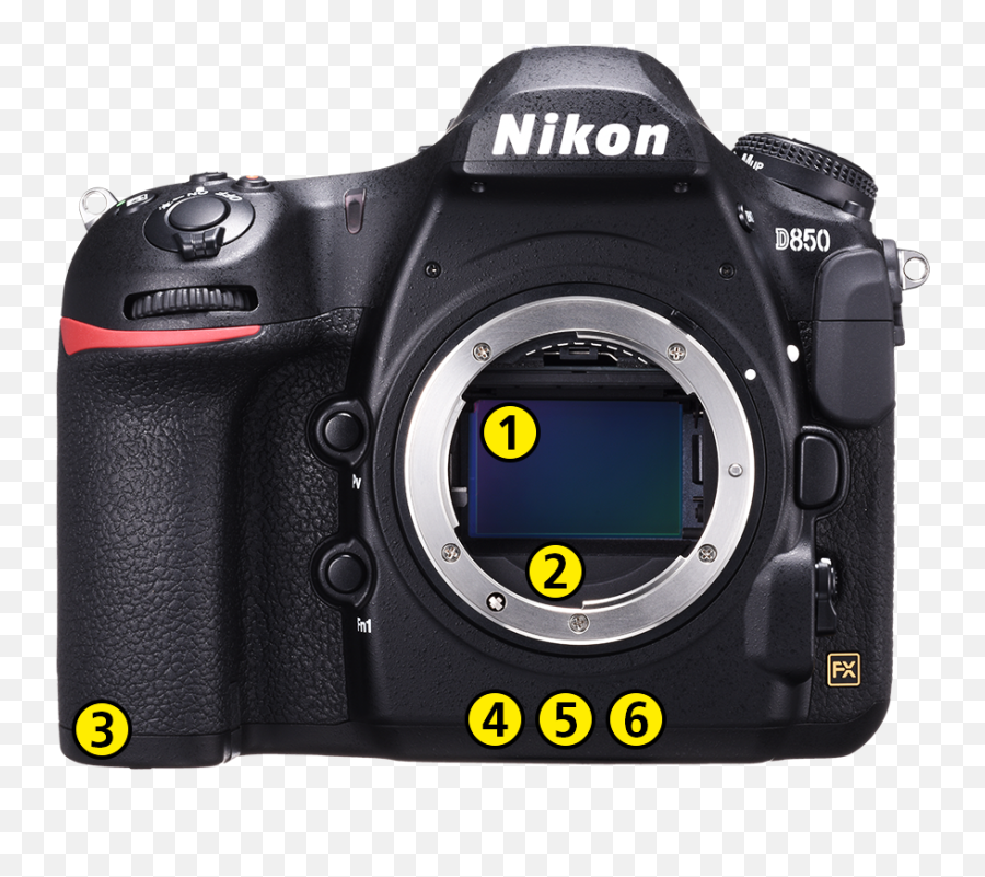 Must - Know Features Of The D850 That Bring Out Its Shooting Emoji,Tilt Up Emotion