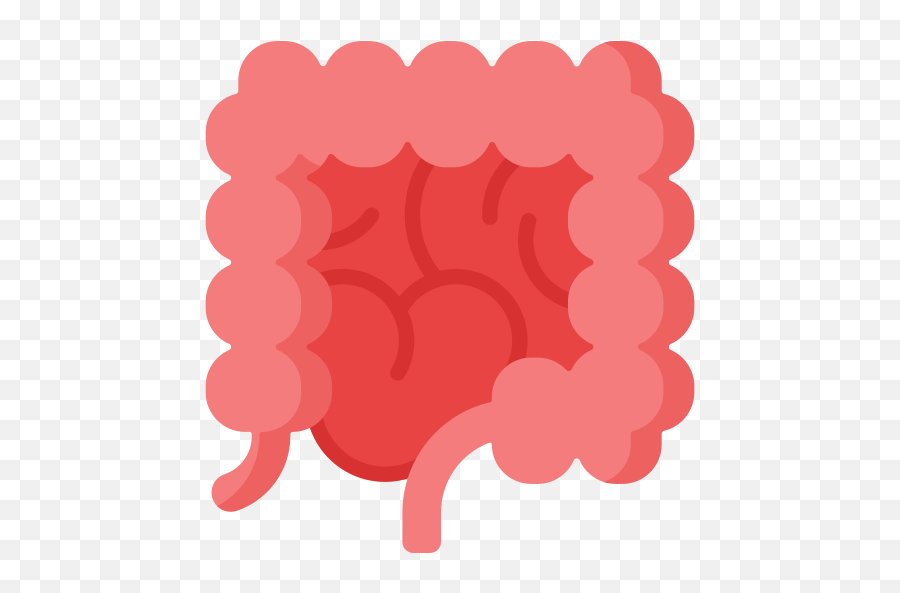 Large Intestine - Free Healthcare And Medical Icons Emoji,Large Circle Emoji