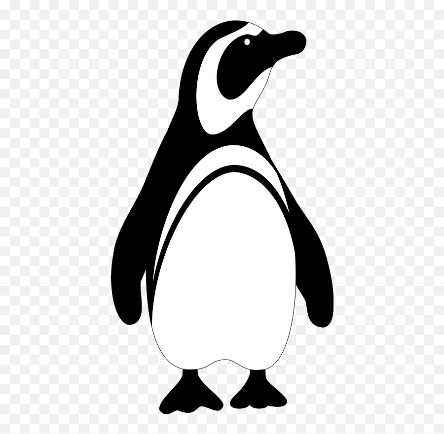 Black And White Penguin Clipart Free Download Transparent - Penguin Clipart Black And White Emoji,Emoji Black And White Simple