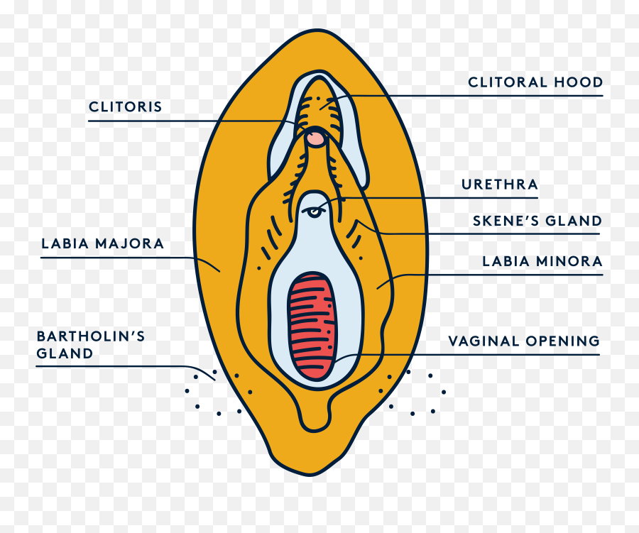 Why We Arent Speaking About Fgm Enough - Language Emoji,Swollen Testicles Emotions