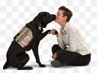 Charlie The Hero Dog U2014 Lowcountry Dog Emoji,Reading Dog Emotions