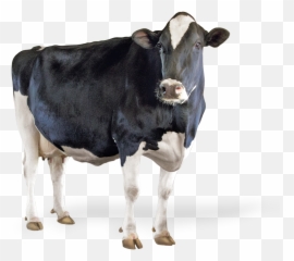 Select Sires Emoji,Bull Emoji Code