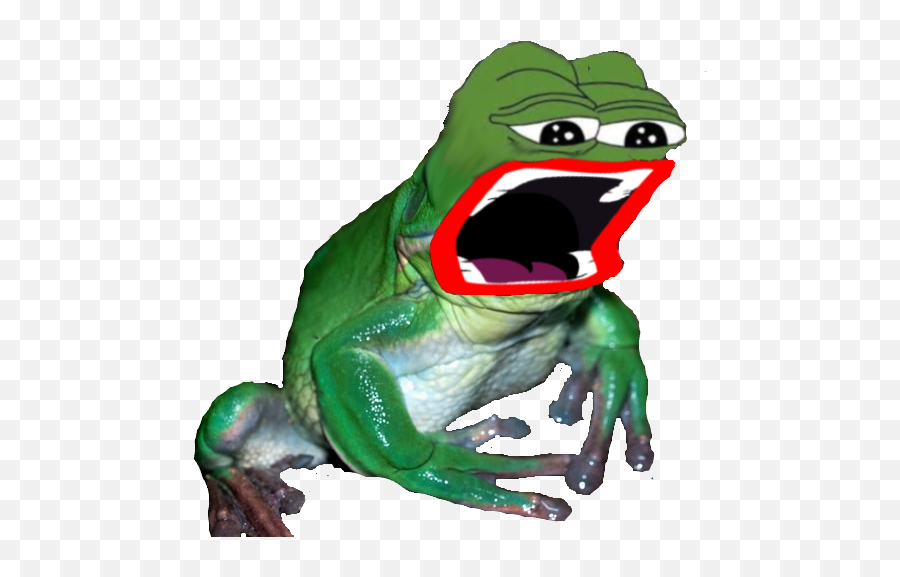 Bleach Unicornhoodlum2 Twitter Emoji,Worry Emoji Frog