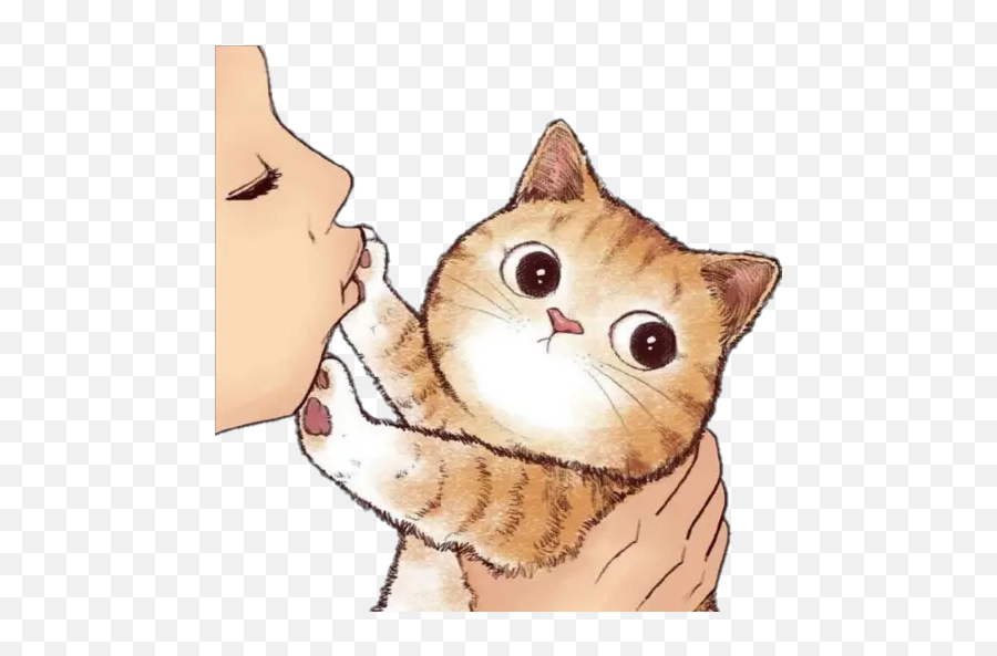 No Quiero Besos Sticker Per Whatsapp - Cute Cat Posters Emoji,Emoticon De Besos Para Msn