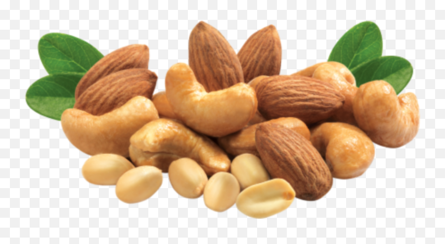 Nuts Peanuts Sticker - Dry Fruits Images Png Emoji,Nuts Emoji