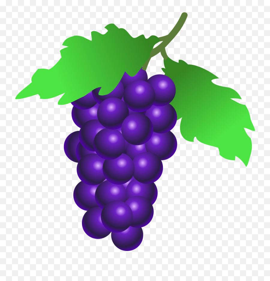 Free Purple Grapes Cliparts Download Free Clip Art Free - Transparent Background Grapes Clipart Emoji,Grape Emoji