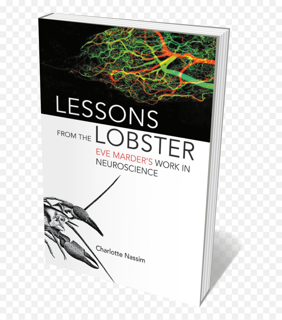 Eve Marderu0027s Life In Lobster Neurons The History Of - Eve Marder Emoji,The Neurobiology Of Emotion Coursebook Author