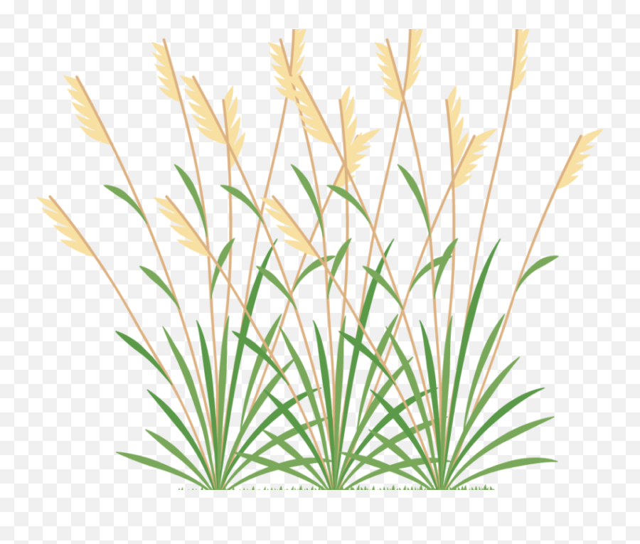 Icon 2 Weeds - Weed Grass Icon Png Transparent Cartoon Weeds Clipart Png Emoji,Steam Weed Emoticon
