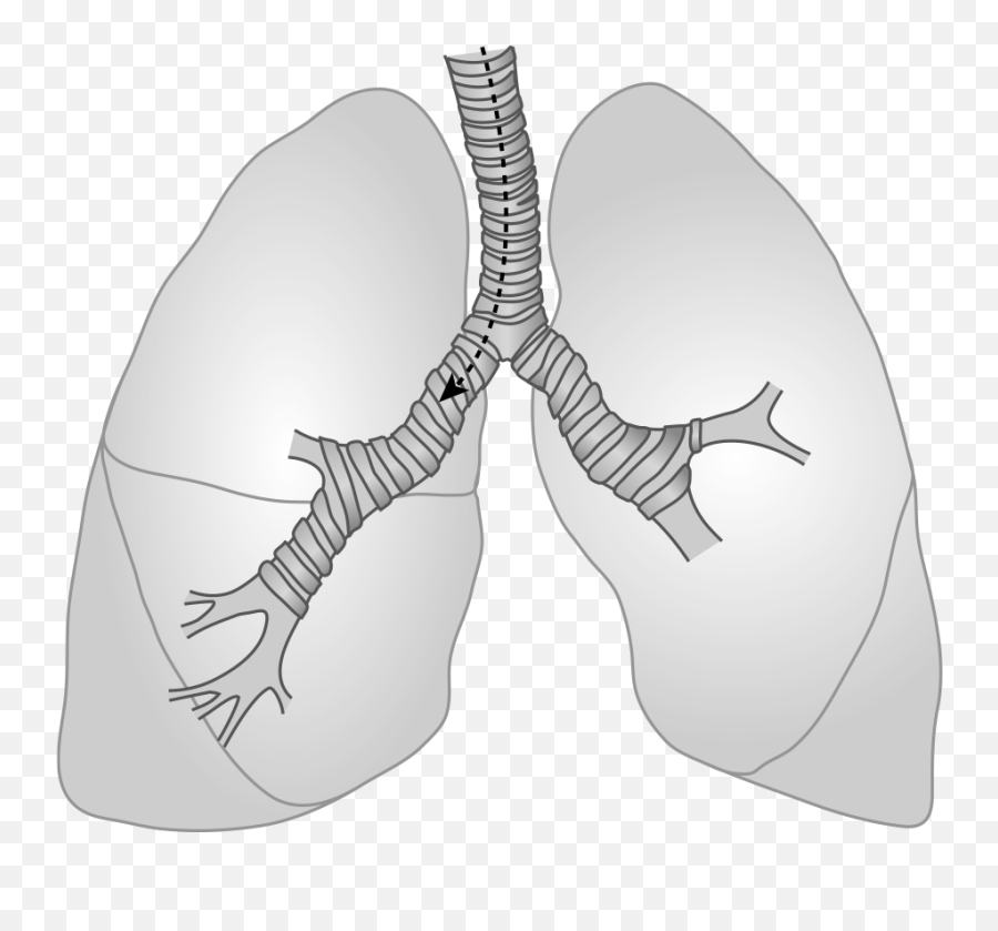 Pulmonary System Springer Publishing - Rib Emoji,Im In A Glass Cage Of Emotion