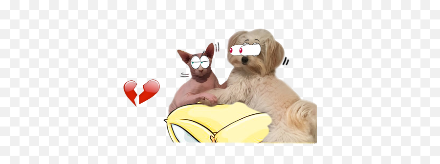 Game Catsticker - Cat Emoji For Imessage Soft,Emoji In Imessage