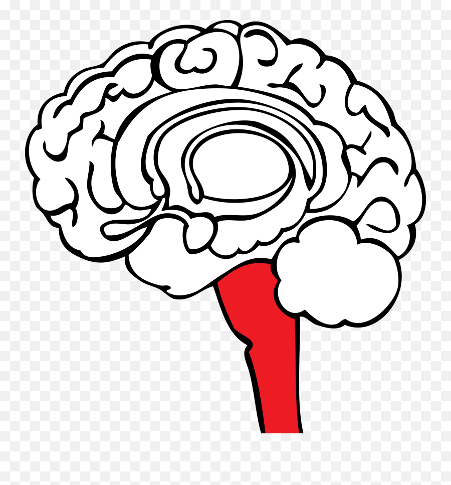 The Stoplight Approach - The Science Green Brain Kathryn Berkett Emoji,Basic Components Of Emotion