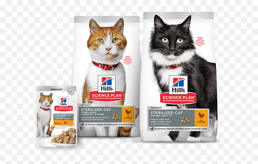 Science Plan Nutrição Que Muda A Vida Do Seu Gato Hillu0027s Pet - Hills Sterilised Cat Chicken Emoji,Emoticon Gatinho