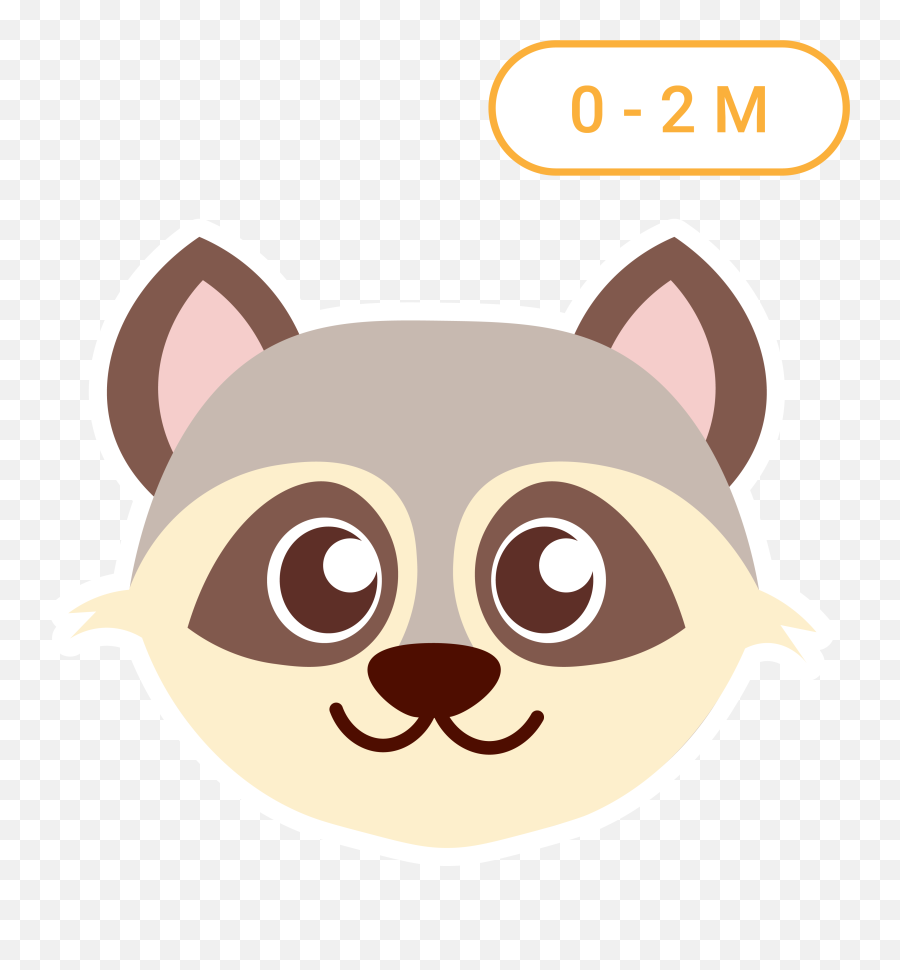 Dkit Emoji,Raccoon Emoji Icon