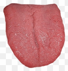 Tongue Png Transparent Images Png All - Transparent Tongue Png Emoji,Toung Emoji