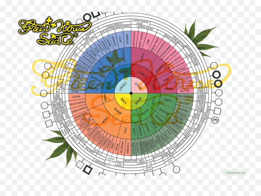 De Smaken Kaart Waar Komen De Smaakjes Vandaan - De Emoji,Okee Dokee Emoji