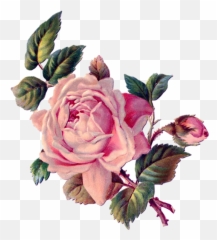 The Most Edited Dobranoc Picsart Emoji,Dobranoc Emoticons