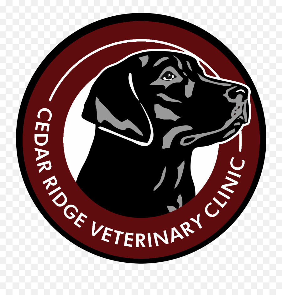 Our Veterinary Health Care Team Emoji,Cow Kick Emotion Osrs Our Veterinary Health Care Team Emoji,Cow Kick Emotion Osrs