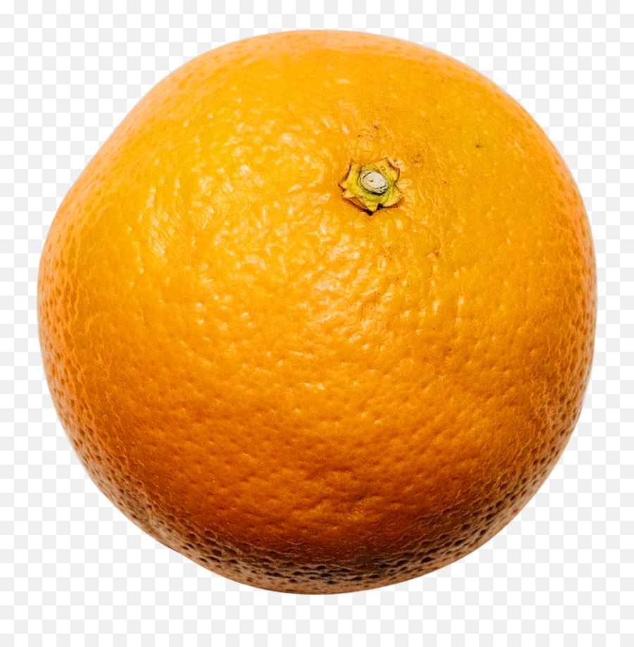 Wink Emoji - Pngfreeimg,Citrus Emoji