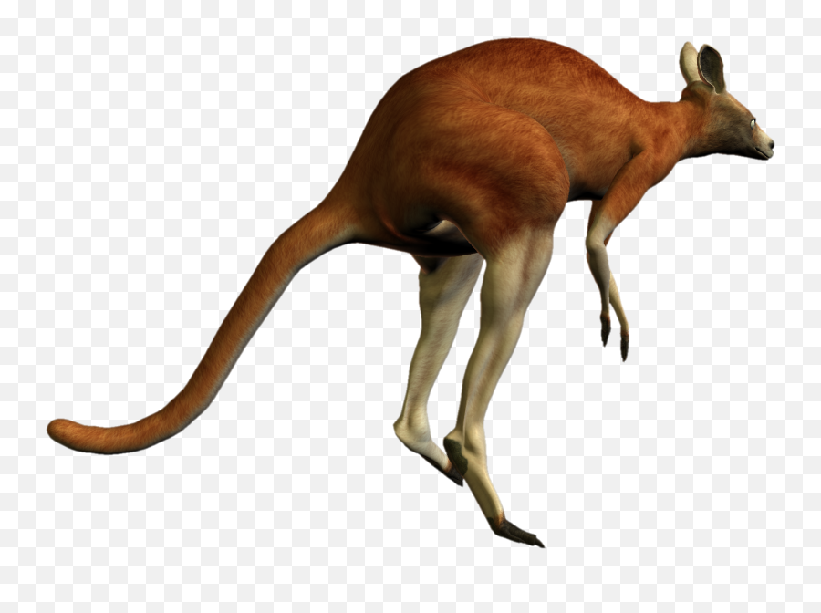 Kangaroo Png Images Free Download - Kangoeroe Png Emoji,Kangaroo Emoji