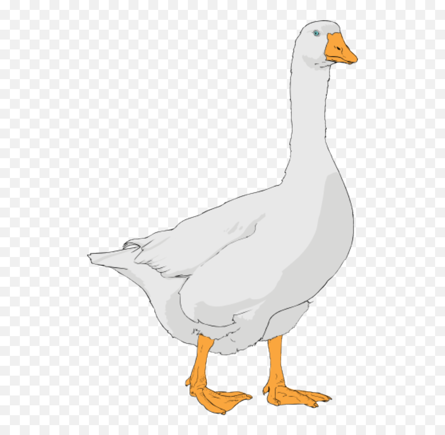 Duck Clipart Waterfowl Duck Waterfowl - Goose Clipart Emoji,Silly Goose Emoji