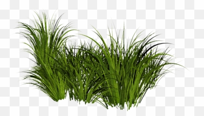 Baseball Field Into Fun Emoji Art - Beach Grass Png,Lawn Mowing Emoji