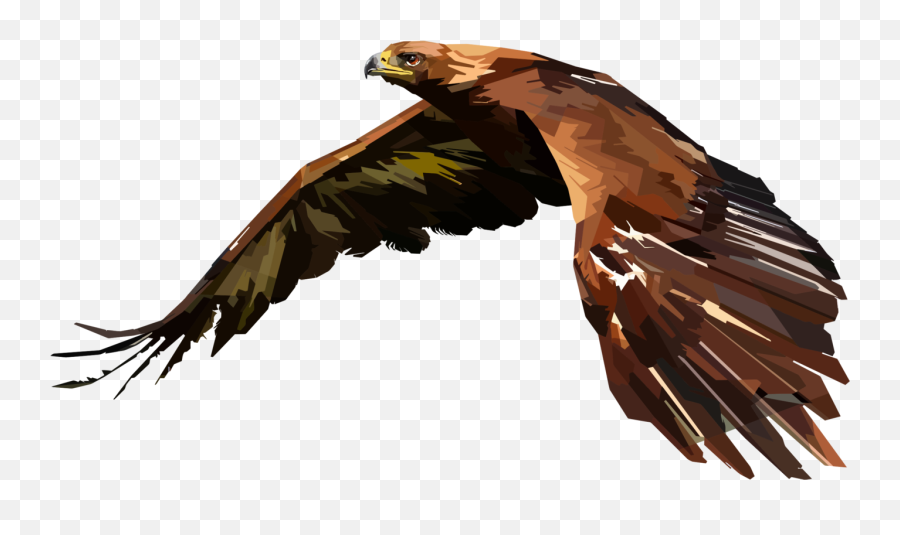 Pop Art Line Art Drawing Digital Art - Hawk Drawing Png Emoji,Hawk Emoji