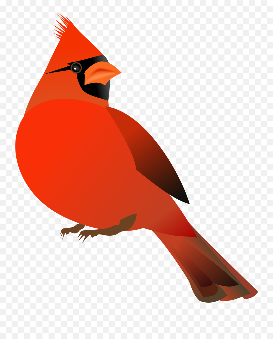 Red Clipart Cardinal Red Cardinal - Free Cardinal Clip Art Emoji,Cardinal Emoji