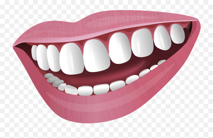 Illustration Mouth Smile - Free Image On Pixabay Senyum Png Emoji,Mouth Emotions Reference Lips