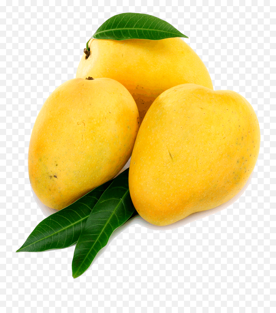 80 Mango Png Image U0026 Mango Clipart Ideas Mango Mango - Yellow Mango Png Emoji,Transparent Mango Emoji