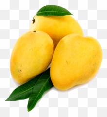 80 Mango Png Image U0026 Mango Clipart Ideas Mango Mango - Yellow Mango Png Emoji,Transparent Mango Emoji