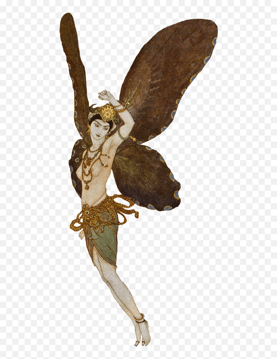 Anatomy Of - Fairy Wing Anatomy Emoji,Grimm Fairy Tale Monsters That Affect People's Emotions
